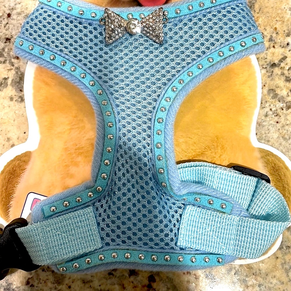Small puppy harness